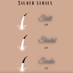 silver series image for maine coons